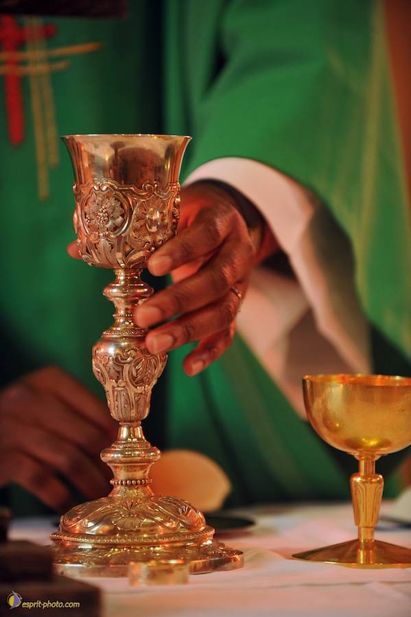 Nom de l'image : D30042271_1_(c)Norbert-JUNG — Description :